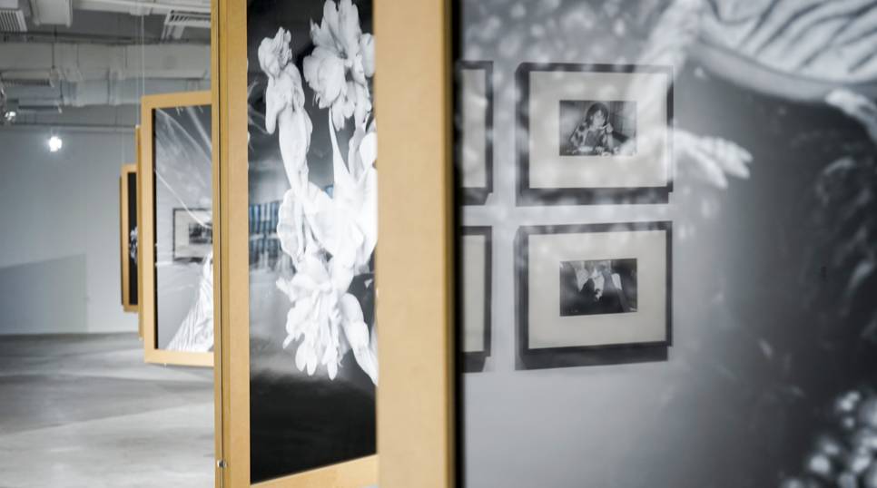 你不是我 视频缩略图