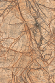 以青春的名义 视频缩略图