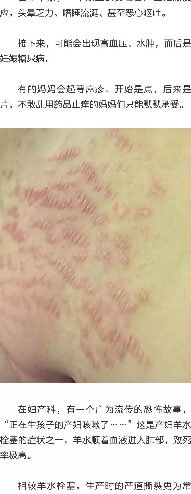 冷血十三鹰 冷血十三鷹 视频缩略图