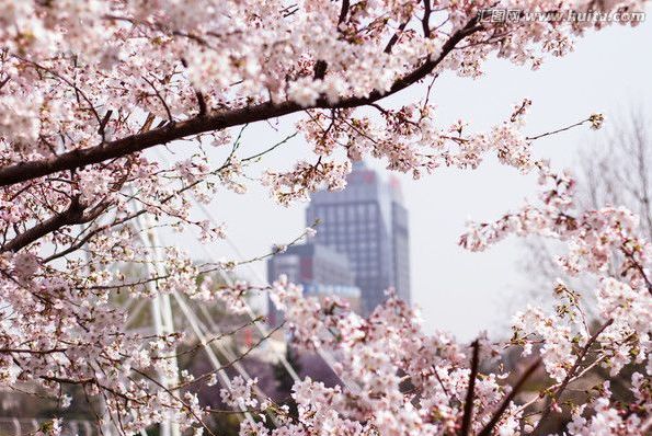 伊斯坦布尔红 视频缩略图