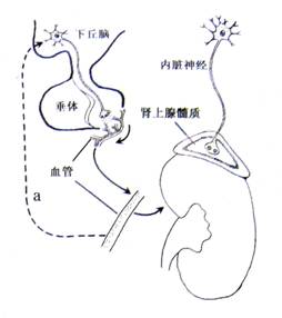 古墓丽影 视频缩略图