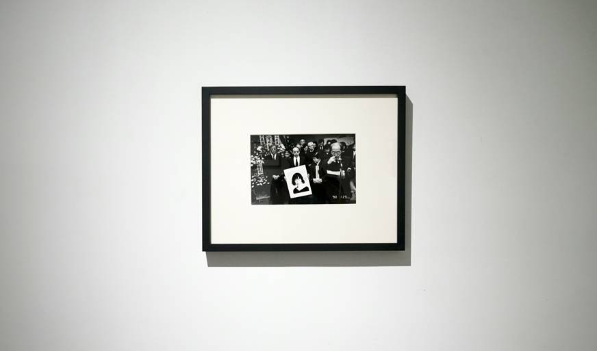 候鸟 视频缩略图