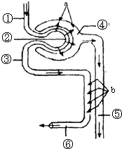 复仇者联盟4：终局之战（国语版） 视频缩略图