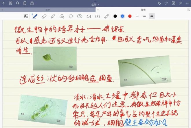 圣人文森特 视频缩略图