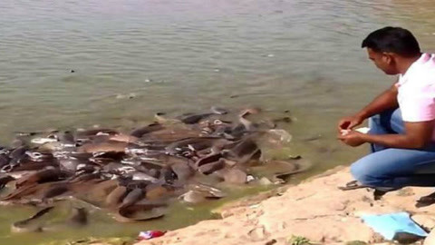 你好，树公主 视频缩略图