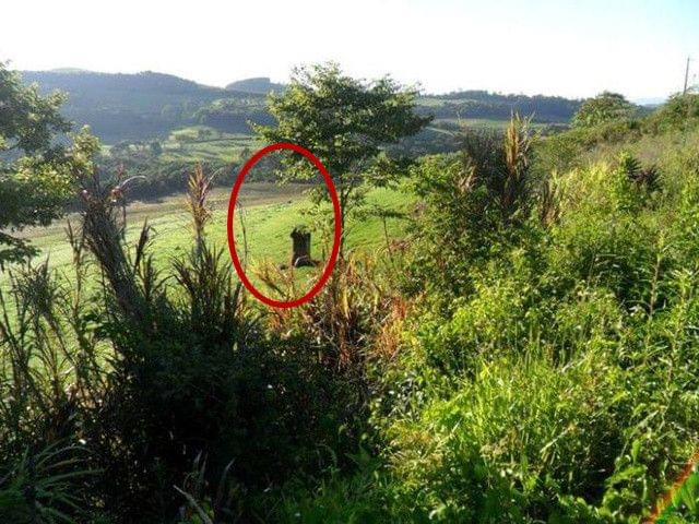 你的微笑 视频缩略图