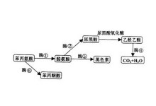 填词L 视频缩略图