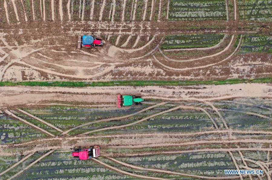 保姆的黑皮书 视频缩略图