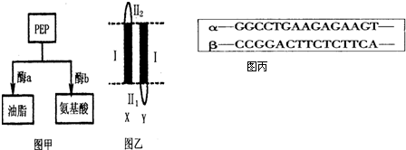大佬攻略 2024 视频缩略图