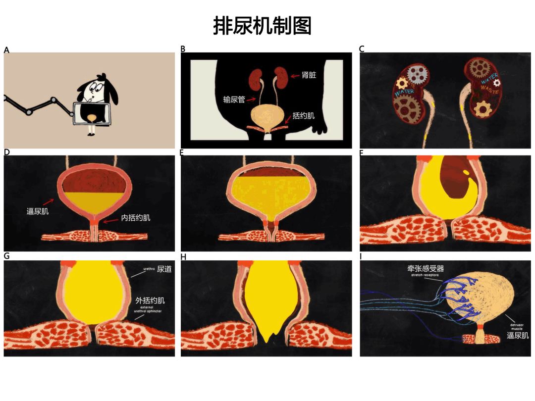 仙球大战 视频缩略图