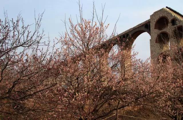 做个有钱人 视频缩略图