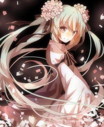 倔强的牛顿 视频缩略图