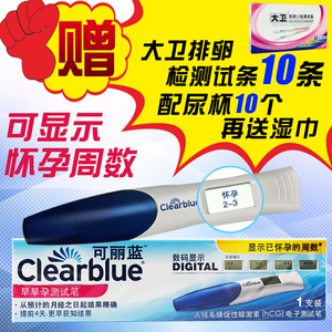 侏罗纪三角 视频缩略图