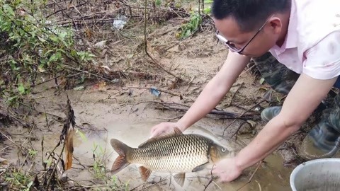 可靠港湾 视频缩略图
