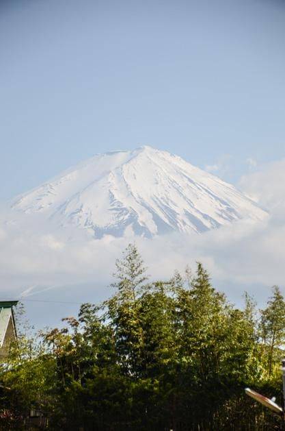 史蒂夫 Steve 视频缩略图