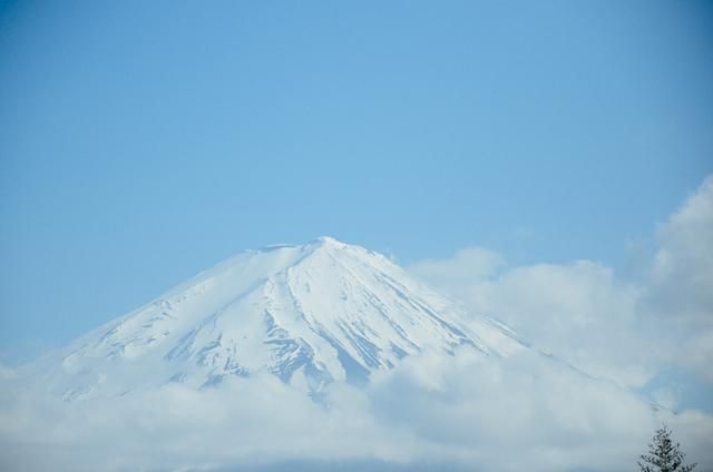 僵尸100：在成为僵尸前要做的100件事 视频海报