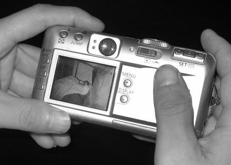 在／其中 视频缩略图