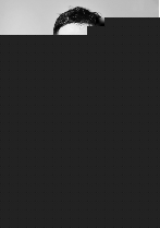 冷面天使 视频缩略图