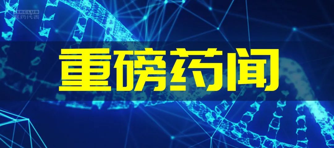 佛罗里达乐园 视频缩略图