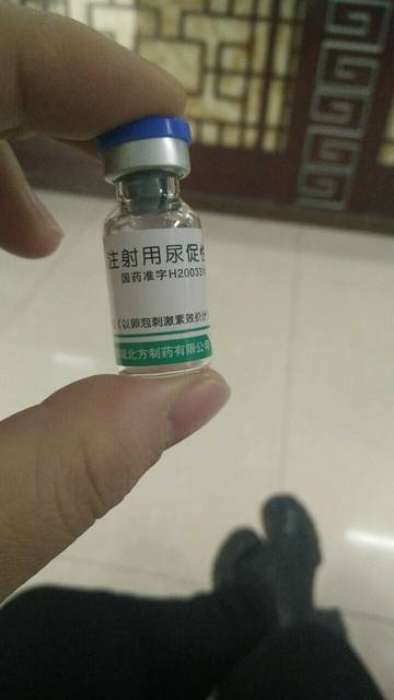 吉吉和内特 视频缩略图