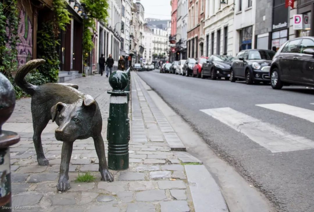 军犬麦克斯 视频海报