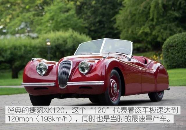 冷面天使 视频海报