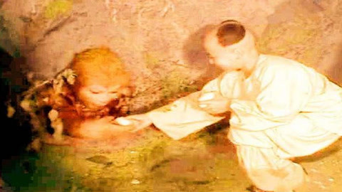 仙女潭 视频缩略图