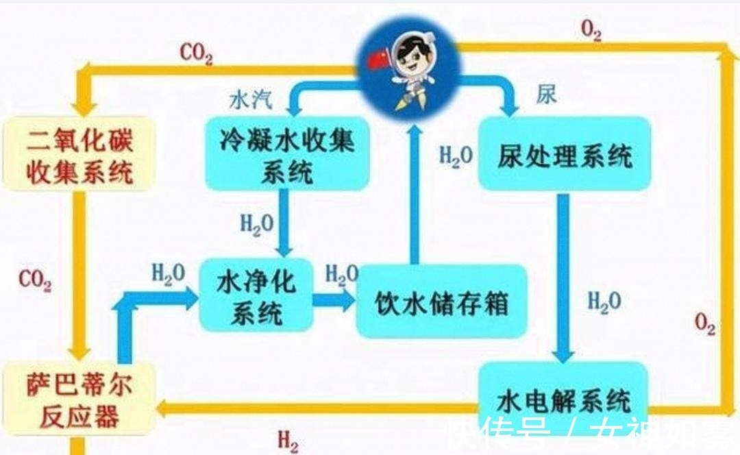 假期历险记 视频缩略图
