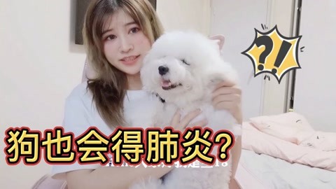 一条叫王子的狗