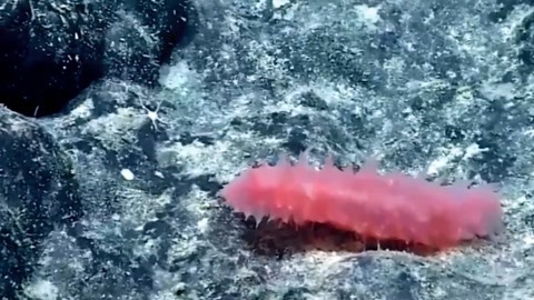 候爱·青春 视频缩略图