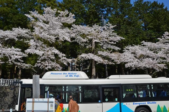 决斗尤玛镇 视频海报