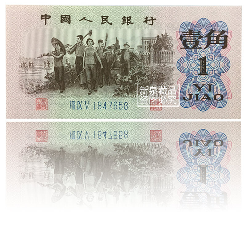 信天翁 视频主图