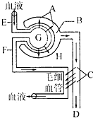 可口可乐小子 视频缩略图