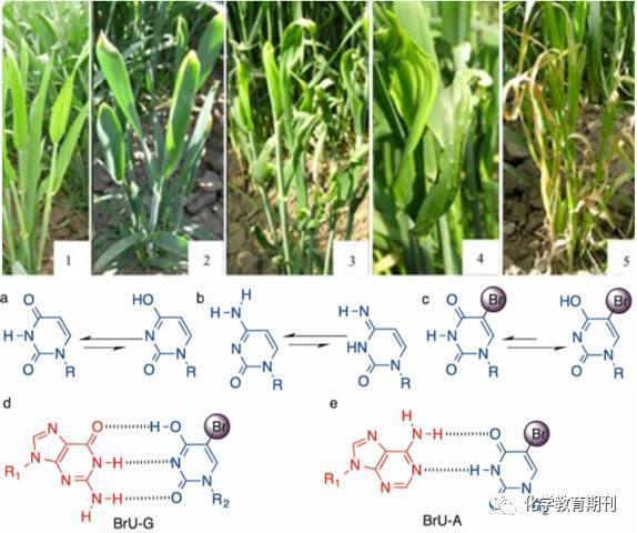 倒带 视频缩略图