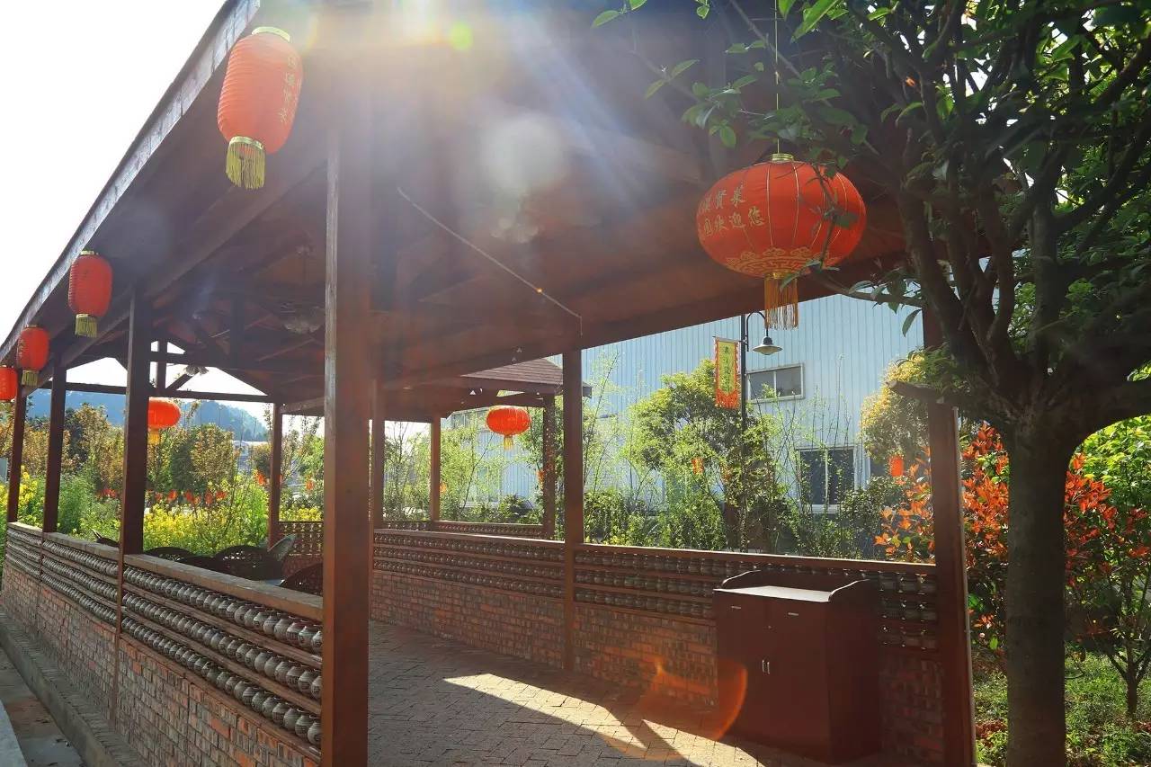 信不信由你 视频缩略图