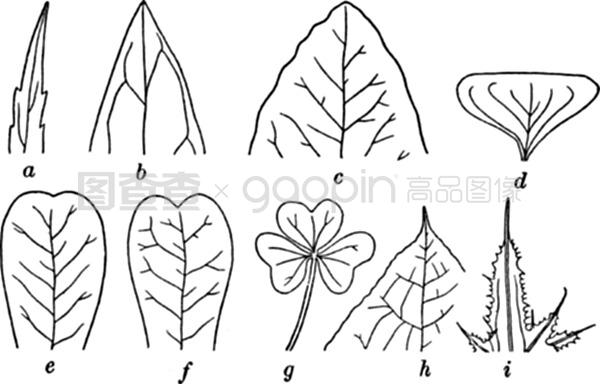 决斗尤玛镇 视频缩略图