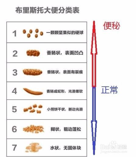 代号巴德 视频缩略图