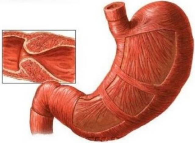 吉吉和内特 视频缩略图
