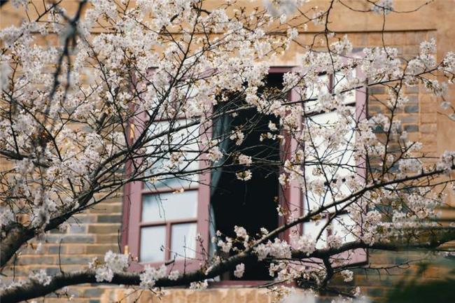 兄弟的判决 视频海报