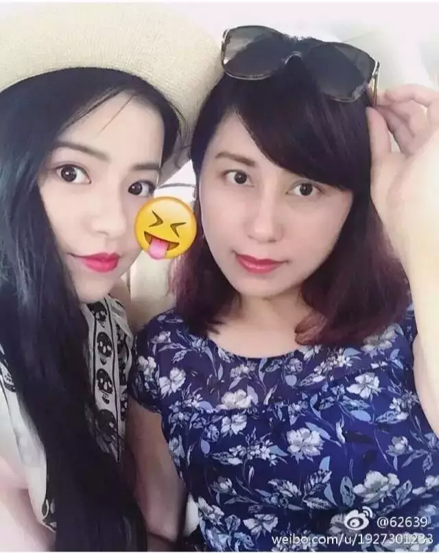 你好，树公主 视频海报