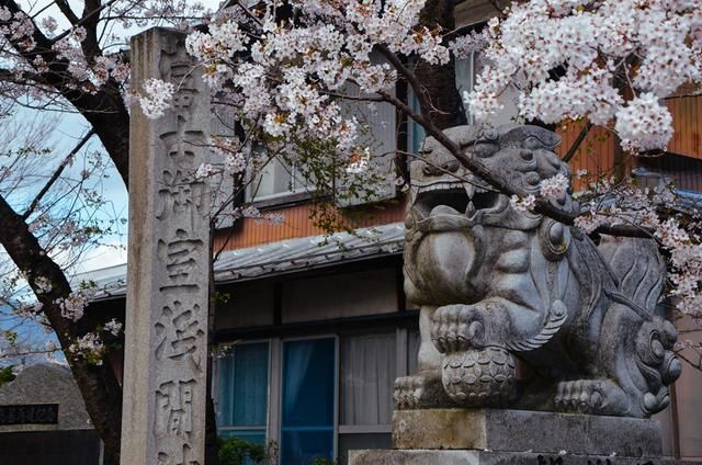 倒计时 视频缩略图