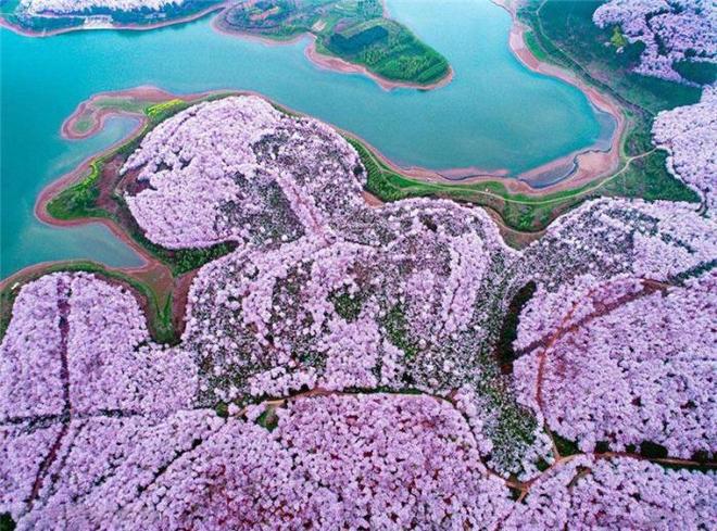 侠探杰克 视频缩略图