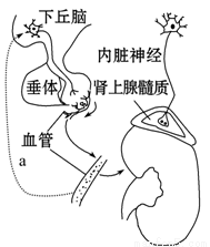 元洲街王后 视频缩略图
