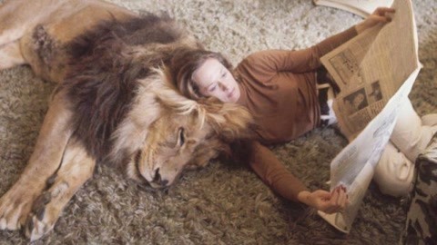 僵尸参将 视频缩略图