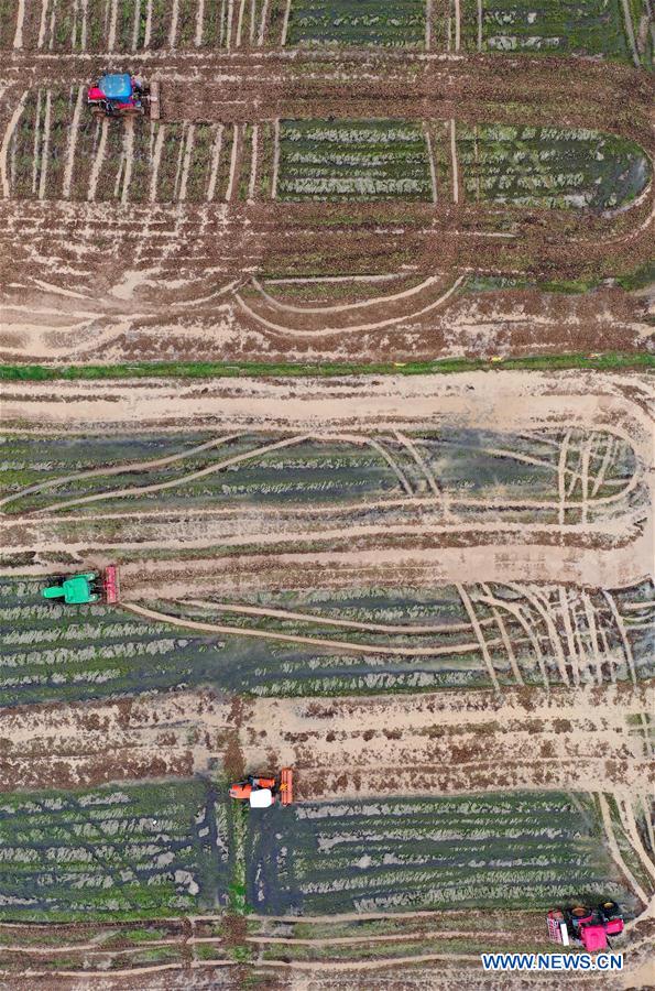 侏罗纪游戏：灭绝 视频缩略图