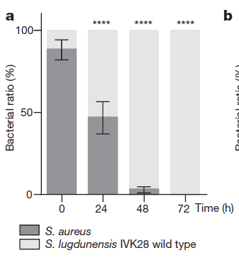 冰路营救 视频海报