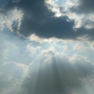 偷天换爱 视频封面