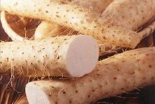 冥绝村 视频海报