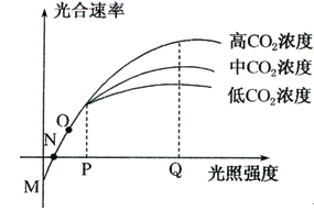 侏罗纪三角 视频缩略图