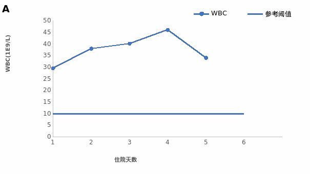 噬血芭蕾 视频缩略图
